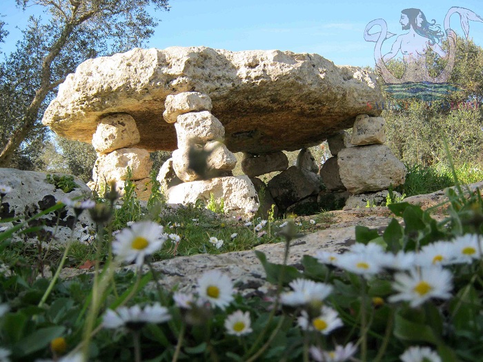 minervino-dolmen-tra-margherite1