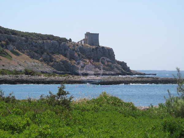 porto sel