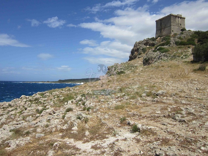 torre-dellalto
