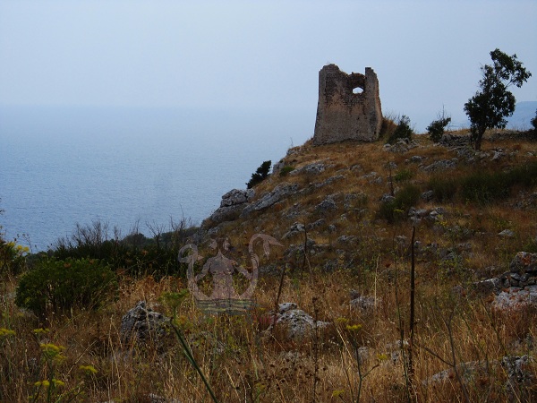 fotogallery