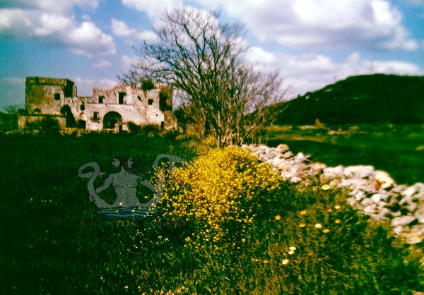 7 masseria a crispiano-1