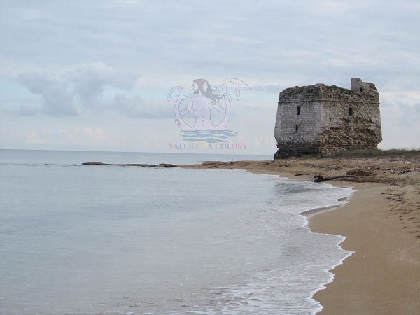 torre veneri