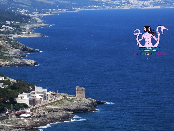torre palane fotogallery