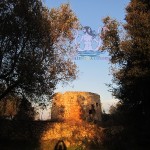 Nel bosco della Torre del Moretto