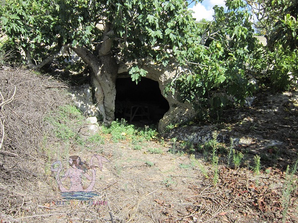 cripta di san nicola a borgagne, storia nelle campagne