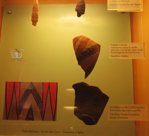 Museo Civico di Paleontologia e Paletnologia di Maglie