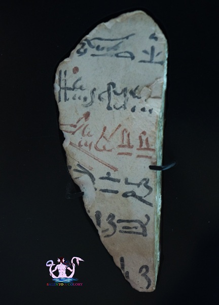 museo papirologico 16