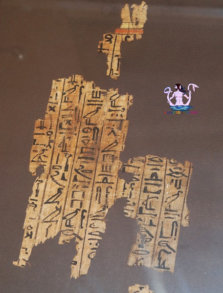 museo papirologico 24