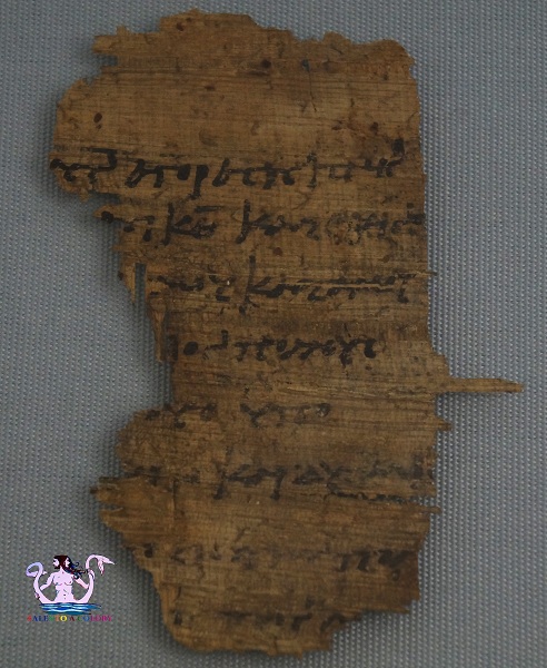 museo papirologico 28