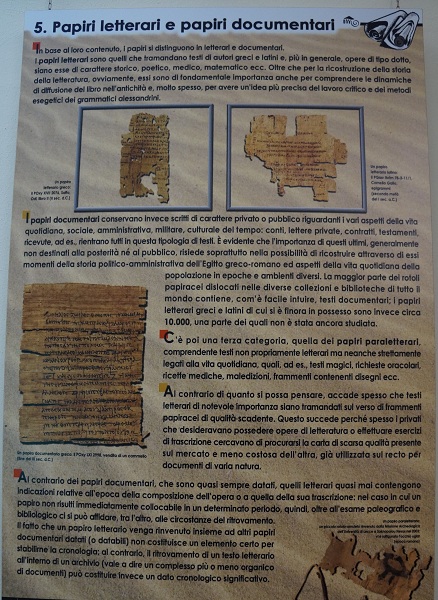 museo papirologico 31
