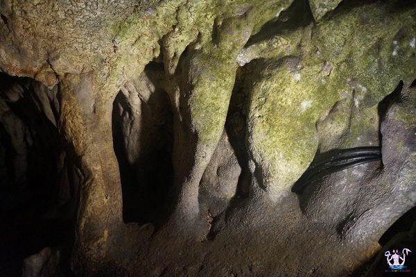 grotta zinzulusa 17