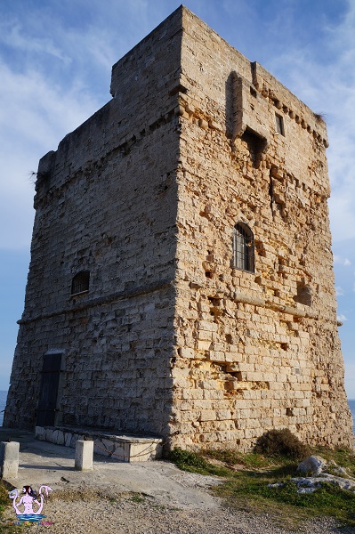torre palane 9