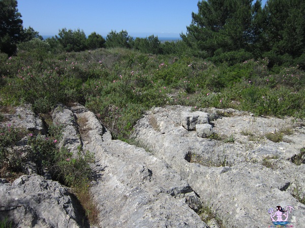necropoli eneolitica a statte