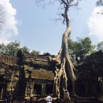 Viaggio in Cambogia