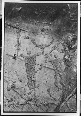 Dos Cùi, Riserva naturale incisioni rupestri di Ceto, Cimbergo e Paspardo - 1980
