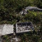 Il giardino segreto dei simboli scolpiti