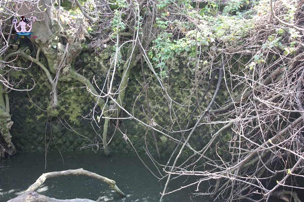 acquedotto romano di brindisi pozzo di vito 3
