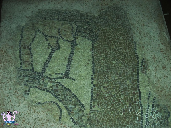 il-mosaico-medievale-di-brindisi-8