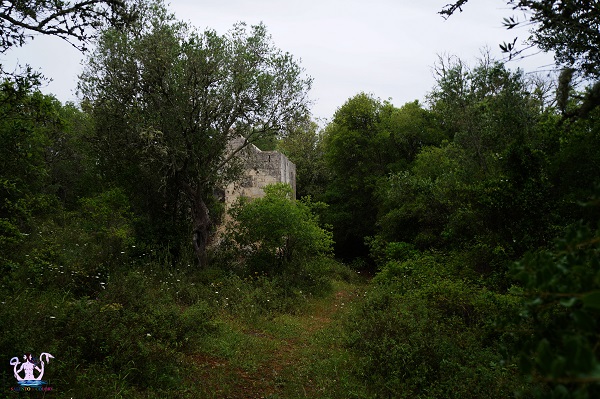 La casa-torre nascosta nel bosco