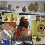 Il Museo Archeologico di Altamura