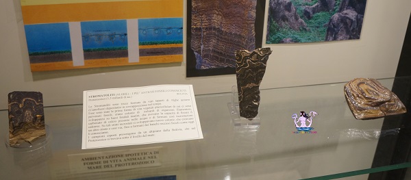 Il Museo della Paleontologia e dell'Uomo a Lizzano