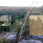 Nel bosco selvaggio del Sergente Romano