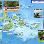 Isole Galàpagos: le meraviglie della natura